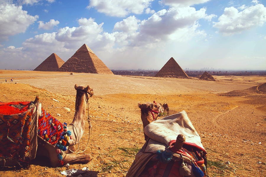 Giza Pyramids, Sakkara and Memphis Day Tour